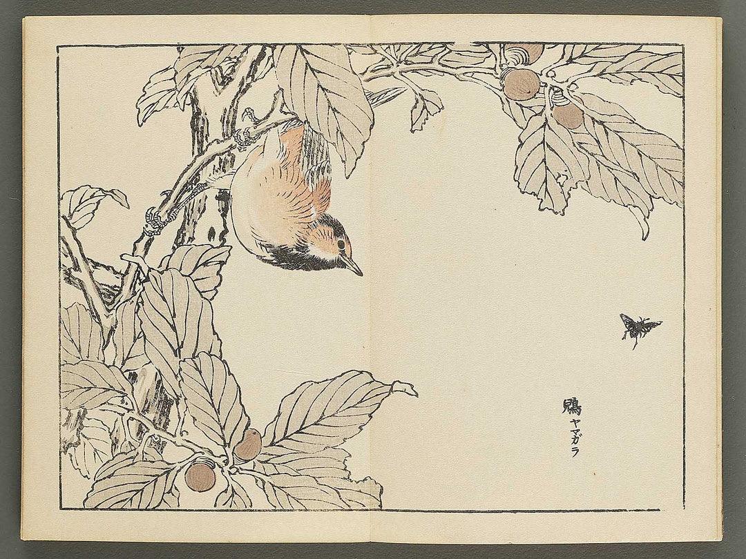 Bairei gafu (Kacho no bu) by Kono Bairei / BJ351-106