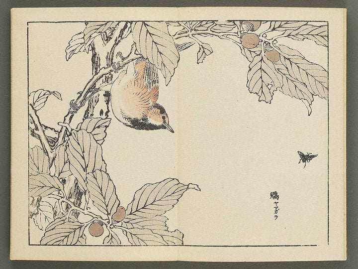 Bairei gafu (Kacho no bu) by Kono Bairei / BJ351-106