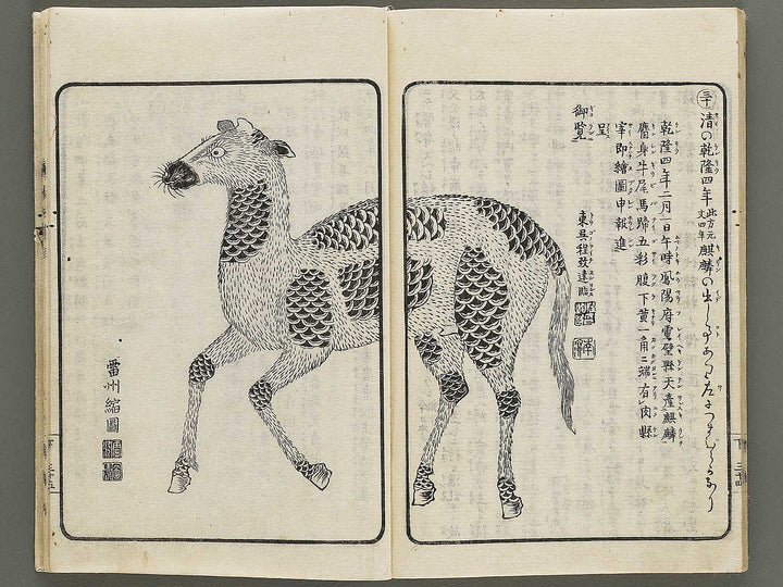 Nanpo yugen (Ge) / BJ334-971