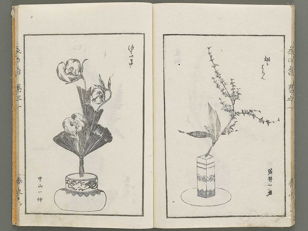 Soka koromonoka Volume 1 by Hishikawa Sori / BJ335-167