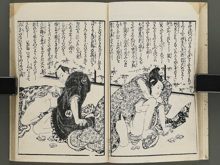 Insho kaiko ki Volume 5 by Utagawa Yoshikazu / BJ345-744