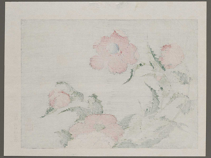 A poppy by Katsushika Hokusai, (Medium print size) / BJ321-734