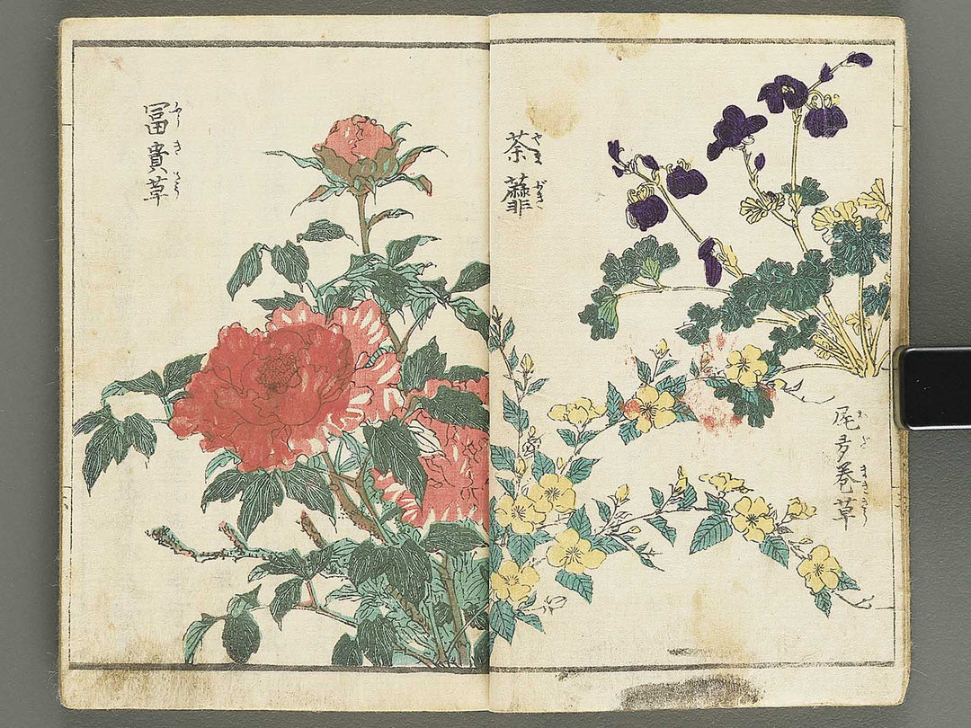 Soka e tehon by Keisai Eisen / BJ348-040