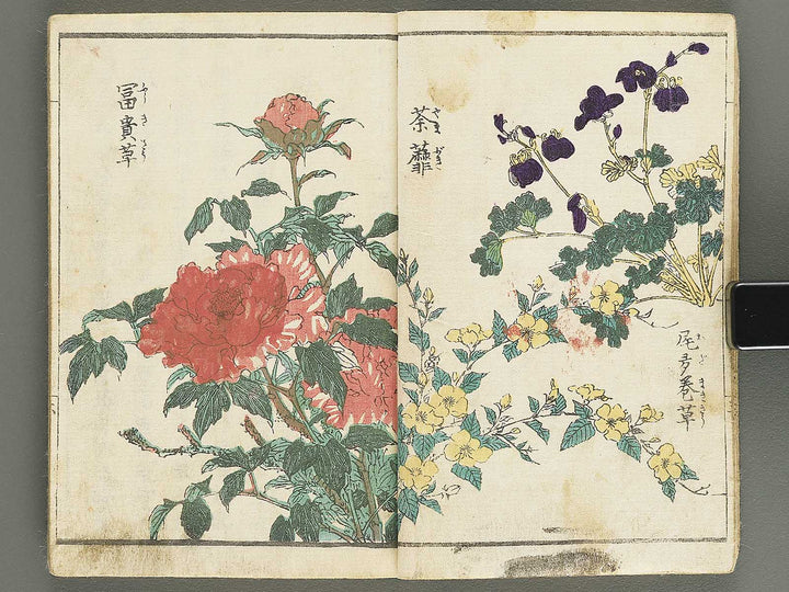 Soka e tehon by Keisai Eisen / BJ348-040