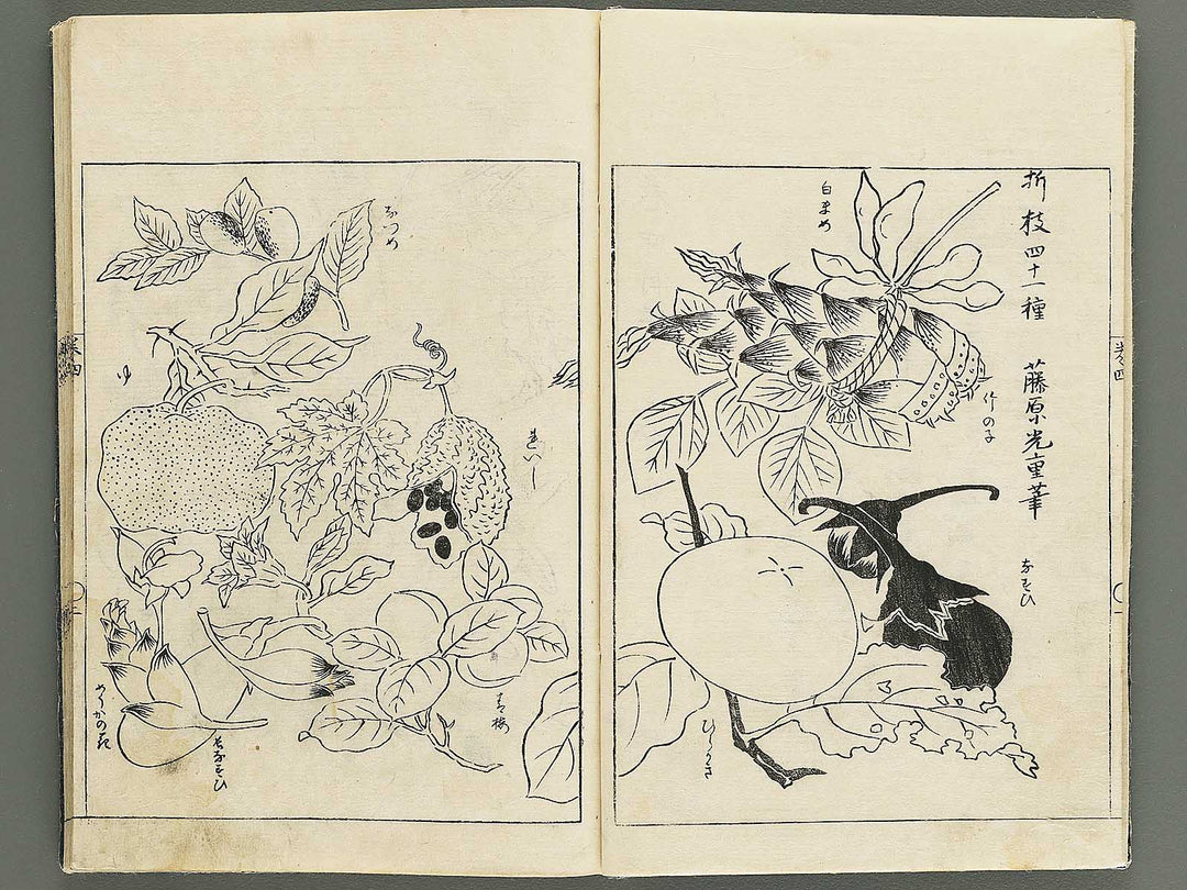 Gashi kaiyo Volume 4 by Ooka Shunboku / BJ347-536