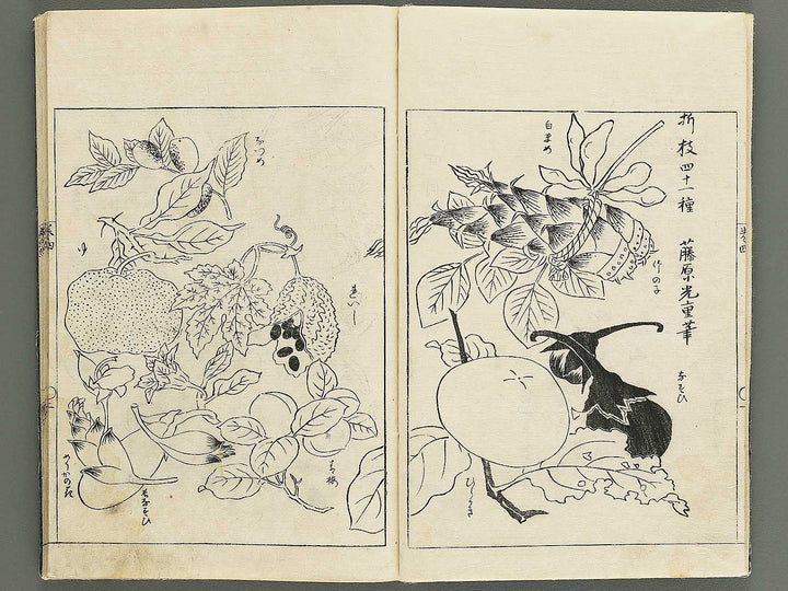 Gashi kaiyo Volume 4 by Ooka Shunboku / BJ347-536