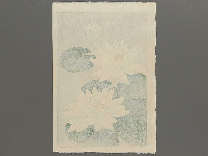 Suiren by Kawarazaki Shodo, (Large print size) / BJ346-283