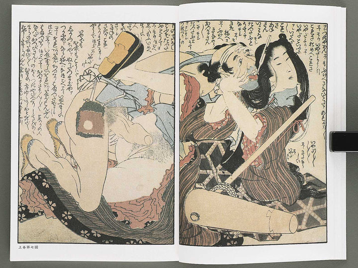 Ezoshi Konoe no komatsu Volume 3 by Katsushika Hokusai / BJ346-437
