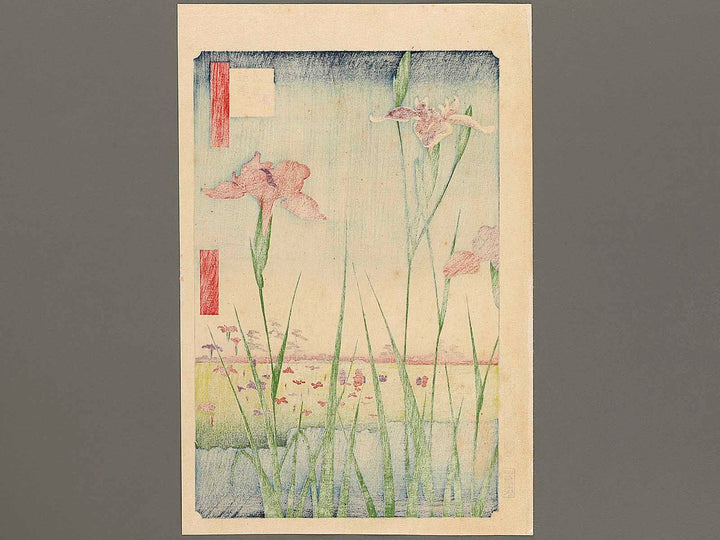 Horikiri Iris Garden from the series One Hundred Famous Views of Edo by Utagawa Hiroshige, (Large print size) / BJ328-370