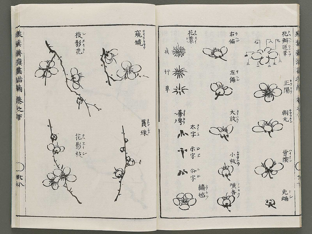 Kanga shinan Kon (Part 2 of 2) by Takebe Ayatari / BJ335-846