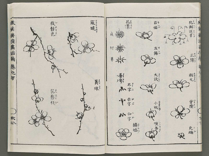 Kanga shinan Kon (Part 2 of 2) by Takebe Ayatari / BJ335-846