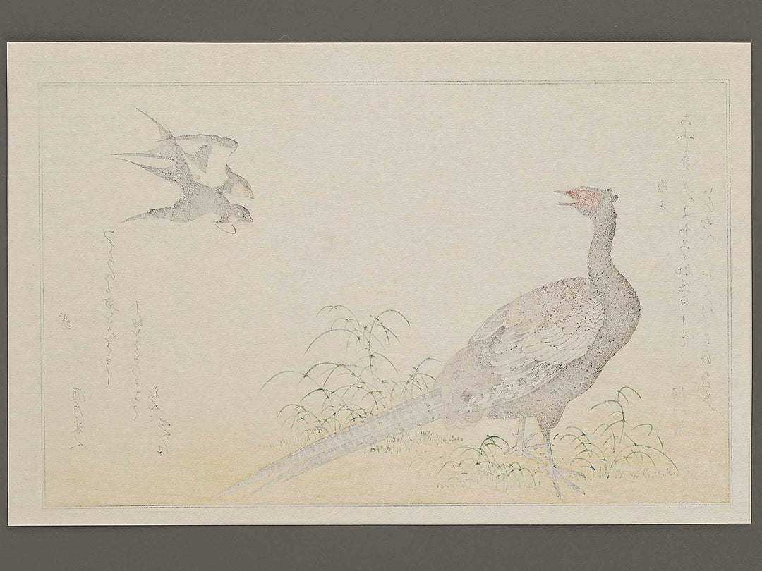 Swallow and Pheasant from the series Momochidori kyoka awase by Kitagawa Utamaro, (Large print size) / BJ327-964