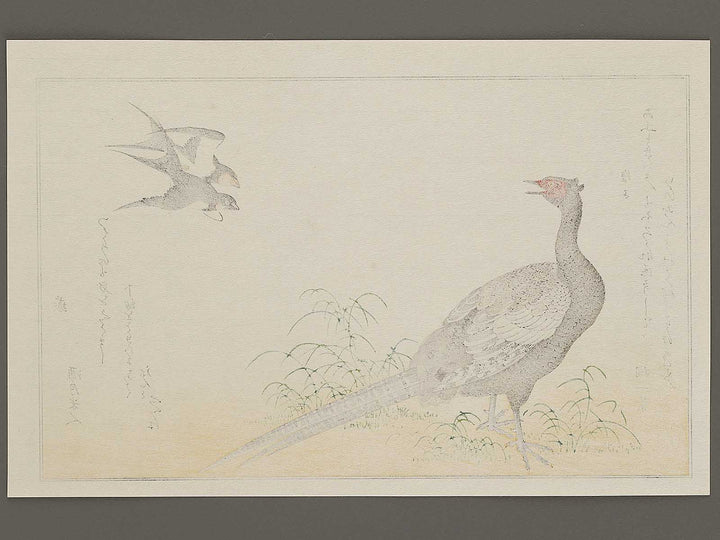 Swallow and Pheasant from the series Momochidori kyoka awase by Kitagawa Utamaro, (Large print size) / BJ327-964