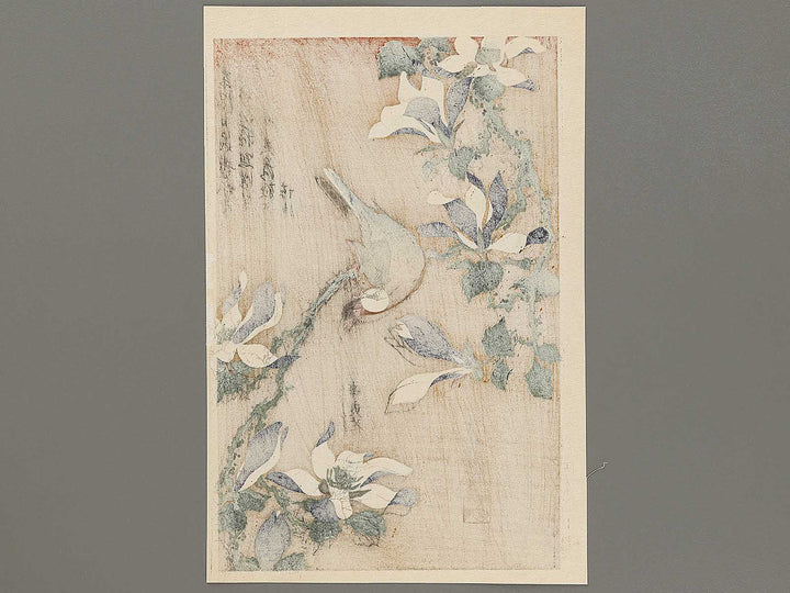 Buncho kobushi no hana by Katsushika Hokusai, (Large print size) / BJ331-674