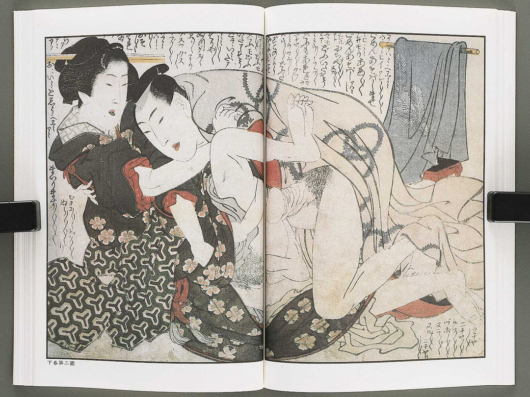 Ezoshi Tamakazura Volume 12 by Katsushika Hokusai / BJ346-486