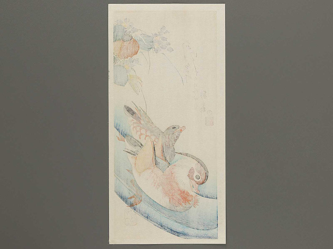 Mandarin duck  by Utagawa Hiroshige, (Medium print size) / BJ304-591