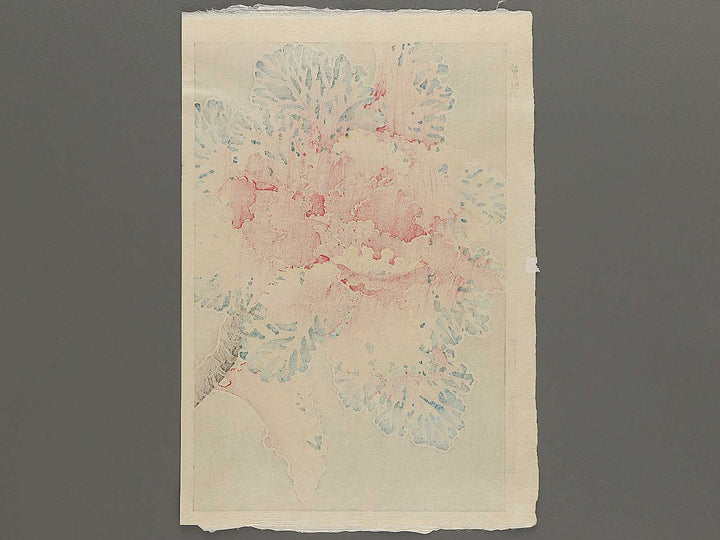 Habotan by Kawarazaki Shodo, (Large print size) / BJ346-269