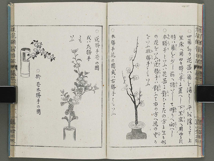 Shoryu hiden ikebana dokushu jizai Volume 1 / BJ332-738