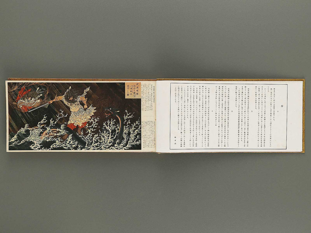 Kokushi gacho yamato zakura / BJ325-962