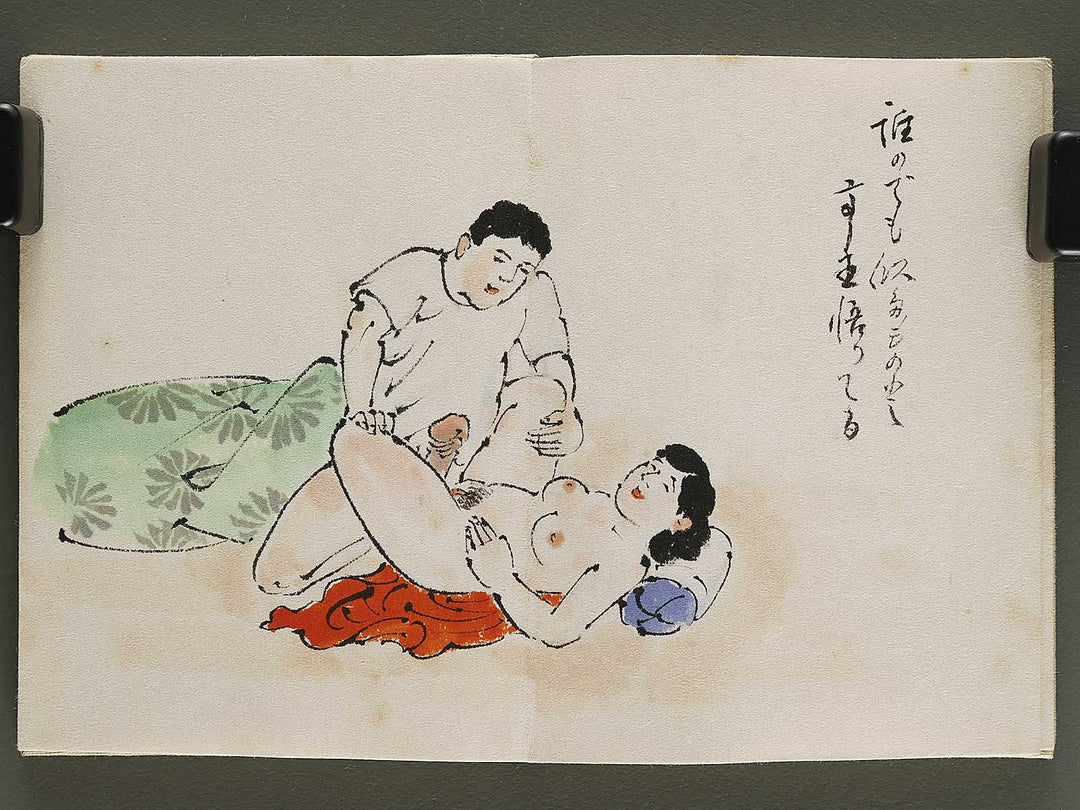 Gendai senryu kaigashu / BJ325-731