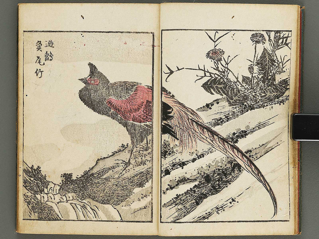 Dokushu mohitsuga tehon Volume 1 by Utagawa-school / BJ323-526
