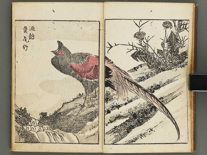 Dokushu mohitsuga tehon Volume 1 by Utagawa-school / BJ323-526