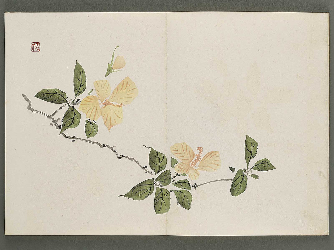 Kajo shugacho Volume 2 by Matsuda Kajo / BJ333-494