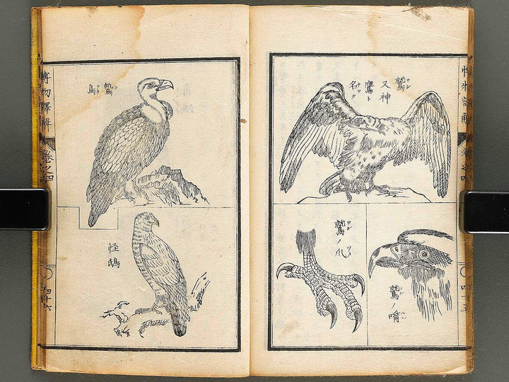 Hakubutsu shinpen yakkai Volume 4 / BJ326-879