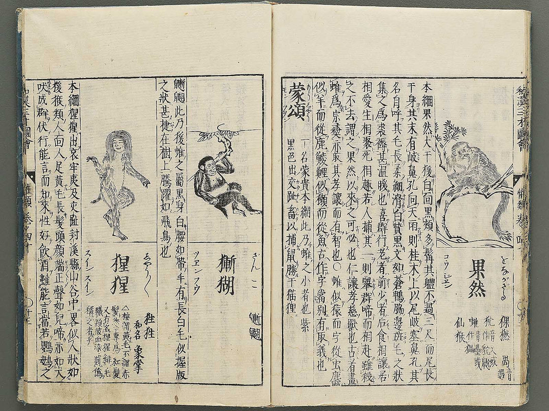 Wakan sansai zue Part 39, Book 40 / BJ349-223