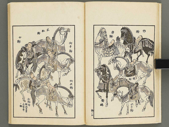 Chiyomikusa Volume 1 by Takeuchi Shigeyo / BJ324-079