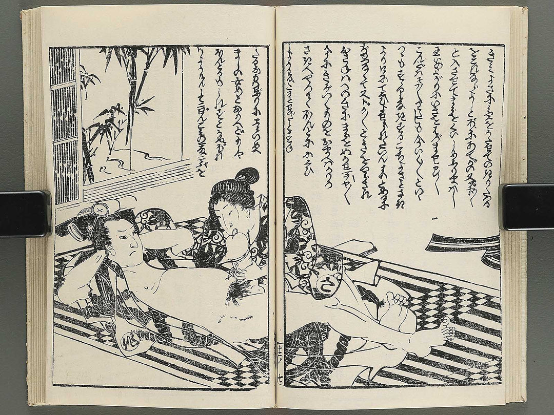 Insho kaiko ki Volume 12 by Utagawa Yoshikazu / BJ345-800