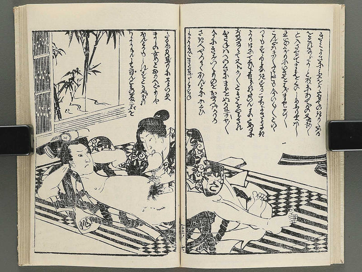 Insho kaiko ki Volume 12 by Utagawa Yoshikazu / BJ345-800