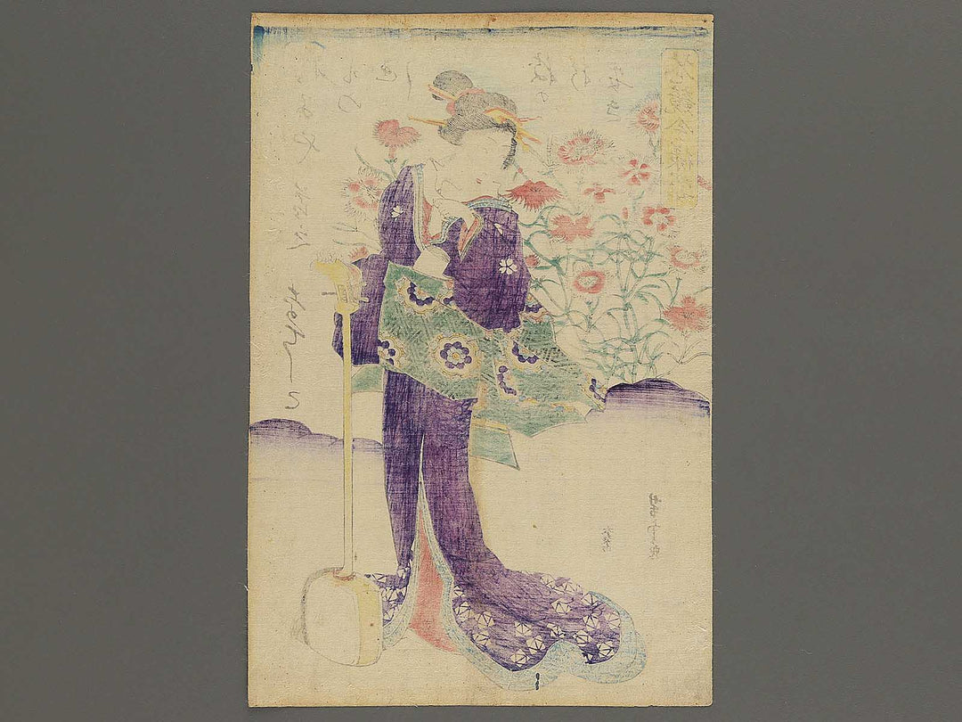 Nadeshiko from the series Hana kurabe imayo sugata by Utagawa Yoshitora / BJ347-837