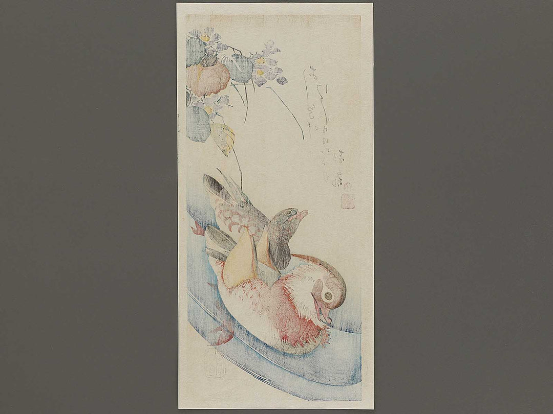 Mandarin duck  by Utagawa Hiroshige, (Medium print size) / BJ328-076