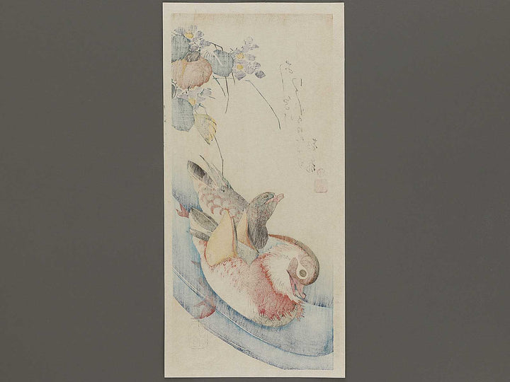 Mandarin duck  by Utagawa Hiroshige, (Medium print size) / BJ328-076