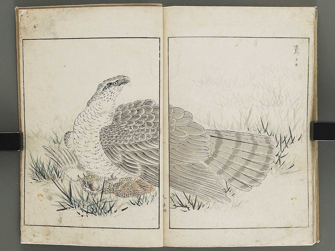 Shucho gafu (Jin) (Part 3 of 3) by Numata Kashu / BJ339-752