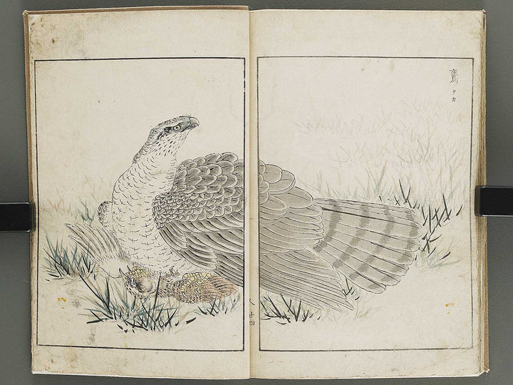 Shucho gafu (Jin) (Part 3 of 3) by Numata Kashu / BJ339-752