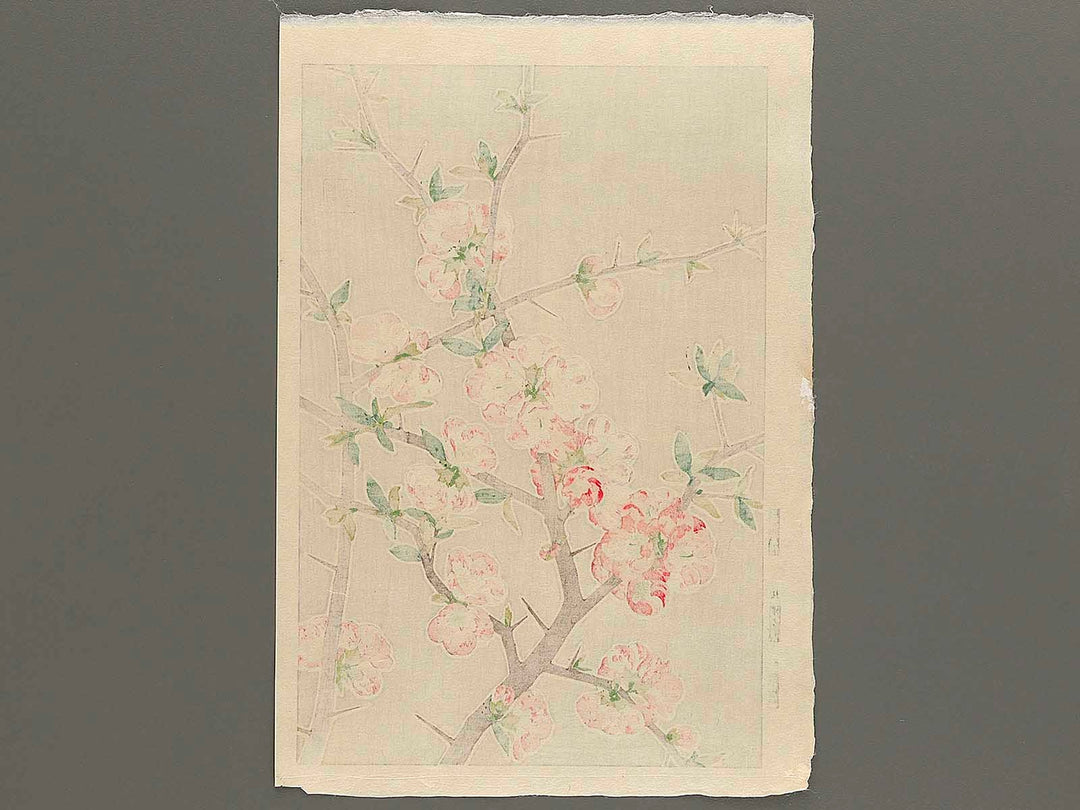 Boke by Kawarazaki Shodo, (Large print size) / BJ346-255