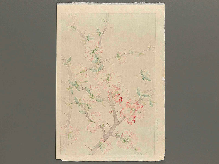 Boke by Kawarazaki Shodo, (Large print size) / BJ346-255