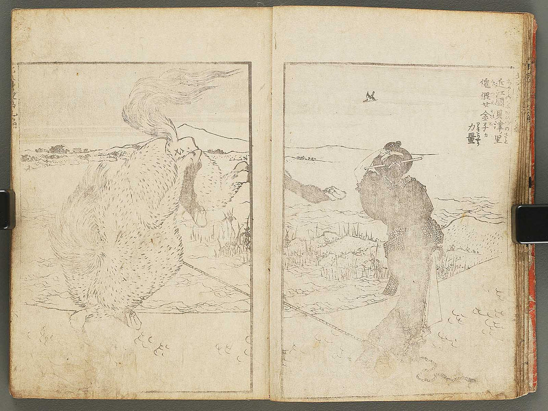 Hokusai manga Volume 9 by Katsushika Hokusai / BJ292-180