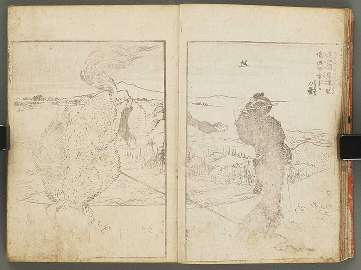 Hokusai manga Volume 9 by Katsushika Hokusai / BJ292-180
