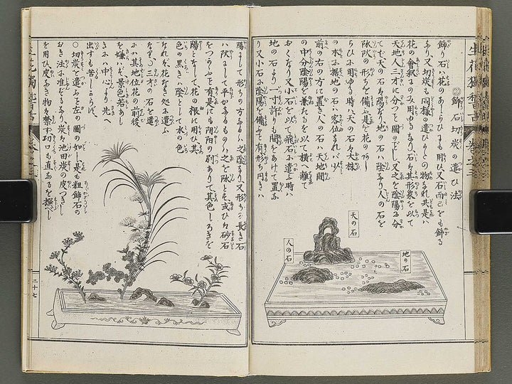 Shoryu hiden ikebana hitorigeiko Volume 3 / BJ347-942