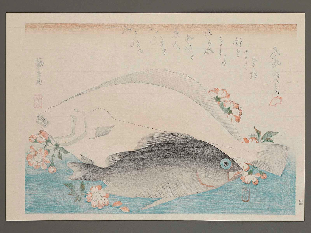 Halibut, Rockfish & Cherry Blossoms from the series the series FISH by Utagawa Hiroshige, (Large print size) / BJ237-664