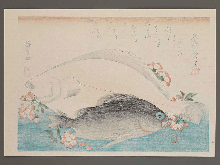Halibut, Rockfish & Cherry Blossoms from the series the series FISH by Utagawa Hiroshige, (Large print size) / BJ237-664