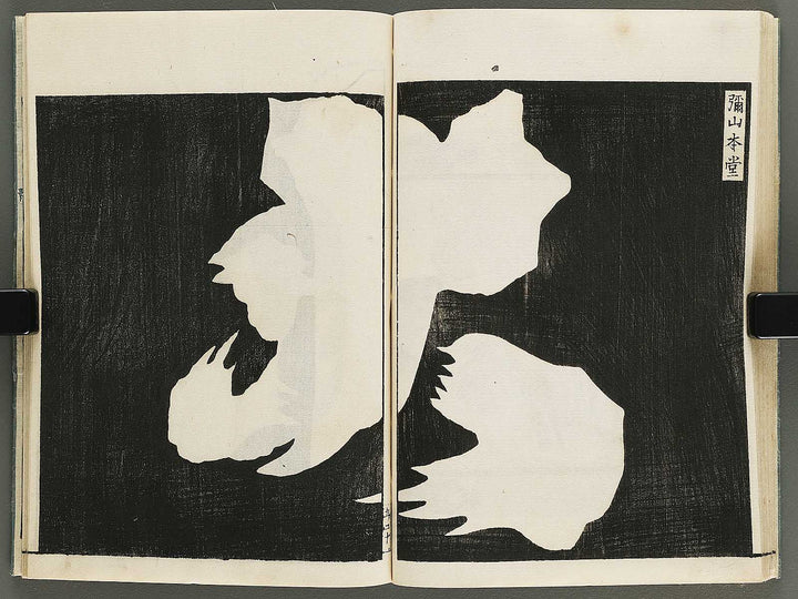 Itsukushima ema kagami Part 1, Book 5 by Watanabe Taigaku / BJ323-855