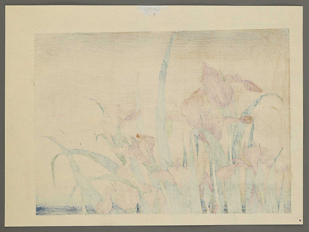 Iris and Grasshopper by Katsushika Hokusai, (Medium print size) / BJ300-573