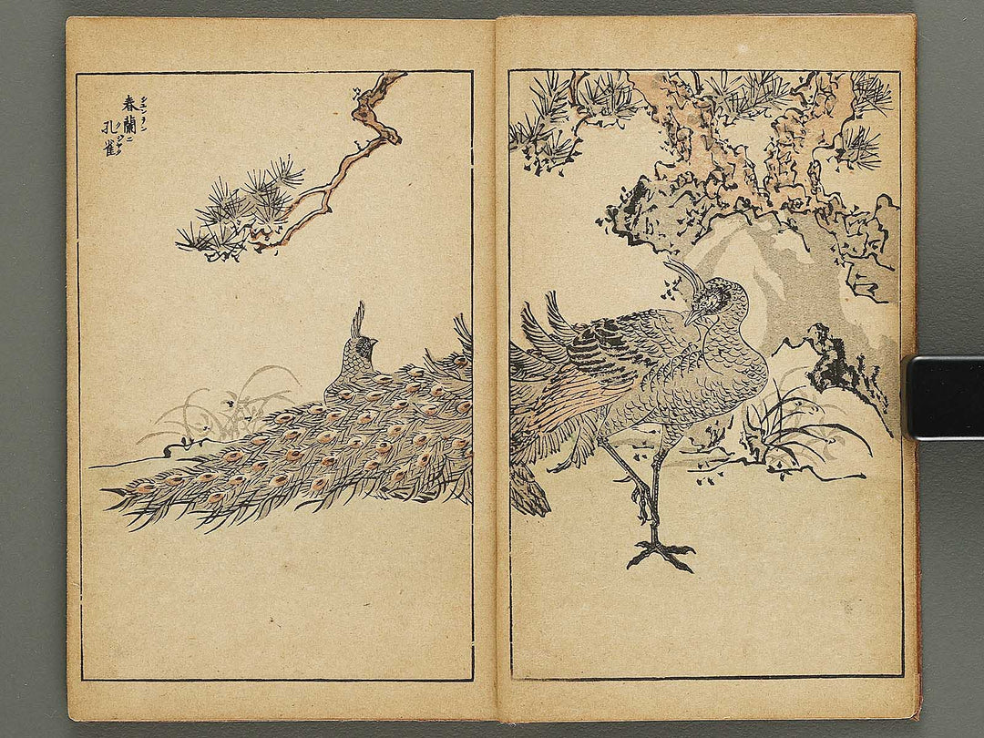 Kacho gafu by Adachi Ginko / BJ333-438