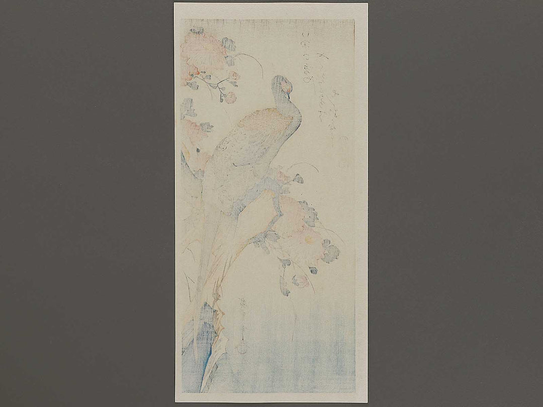 Chrysanthemum & pheasant by Utagawa Hiroshige, (Medium print size) / BJ328-111