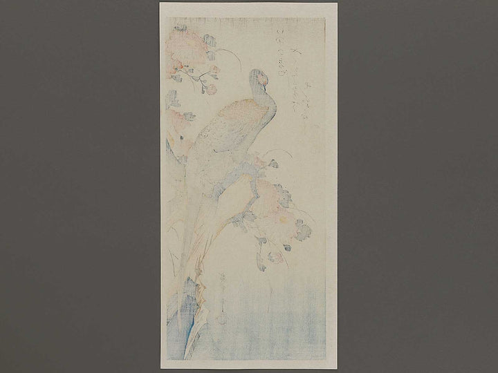 Chrysanthemum & pheasant by Utagawa Hiroshige, (Medium print size) / BJ328-111