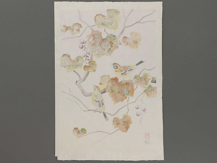 Budo ni shimaaoji by Ashikaga Shizuo, (Large print size) / BJ331-345